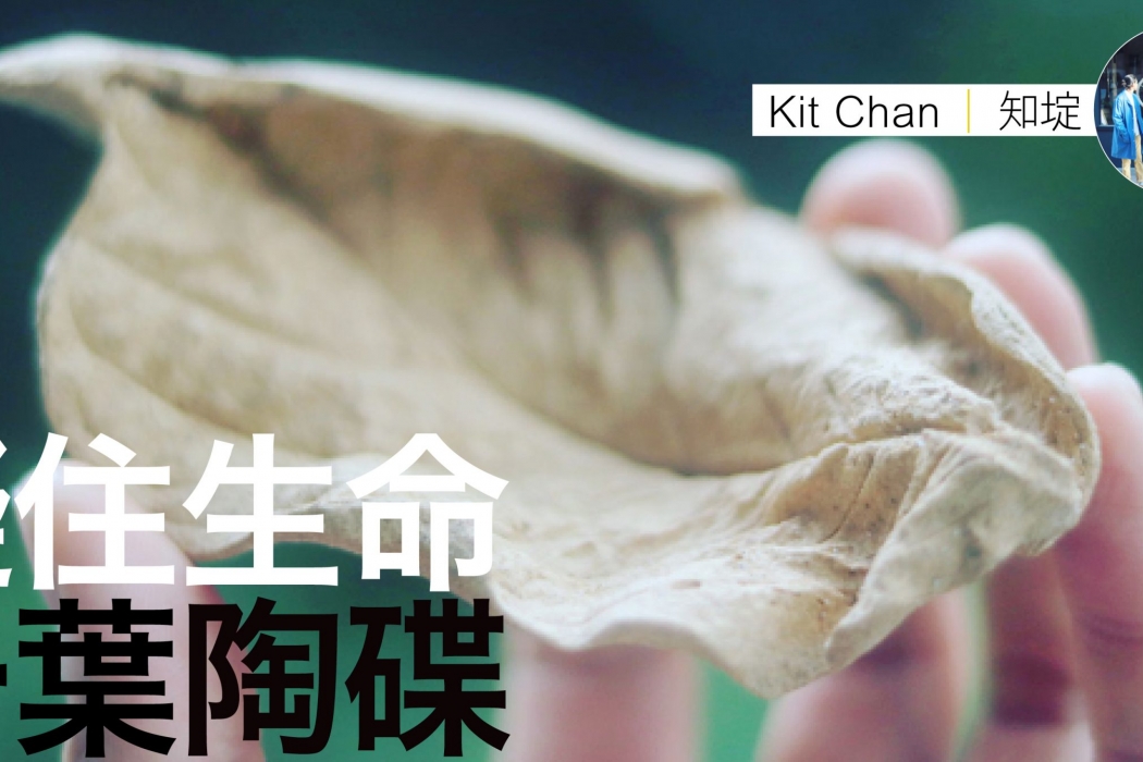 kit chan陶碟feature