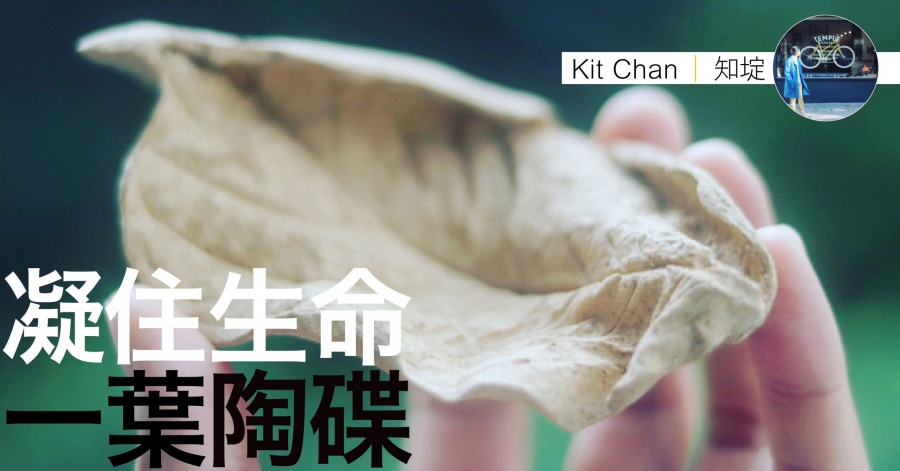 kit chan陶碟feature