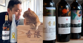 EasyWine醉貓feature