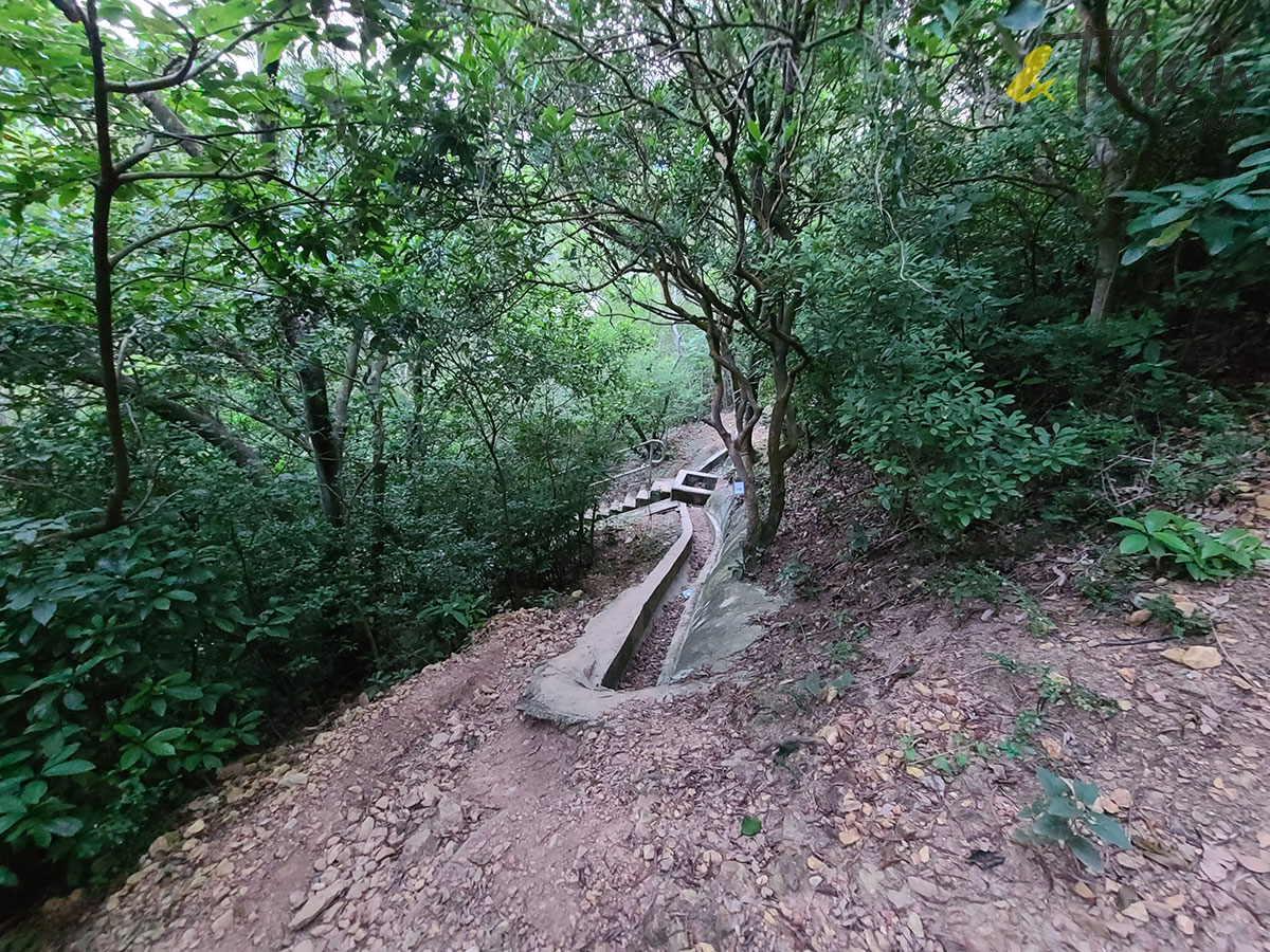 大澳 虎山 行山 水鄉 重陽節 風景 香港寶珠潭 行山徑 步道 虎山觀景步道 引水渠