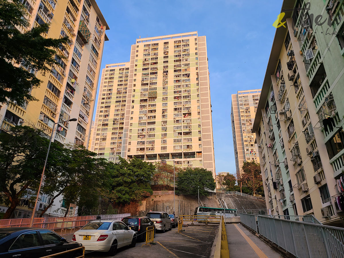 公營房屋 公屋重建 香港人 香港回憶 集體回憶 特色建築 建築 華富邨 傳統屋邨