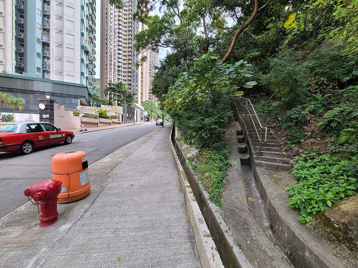 香港秘密搜查官 香港 香港小秘 秘景 大坑 大坑三怪亭 樹林 大坑徑名門