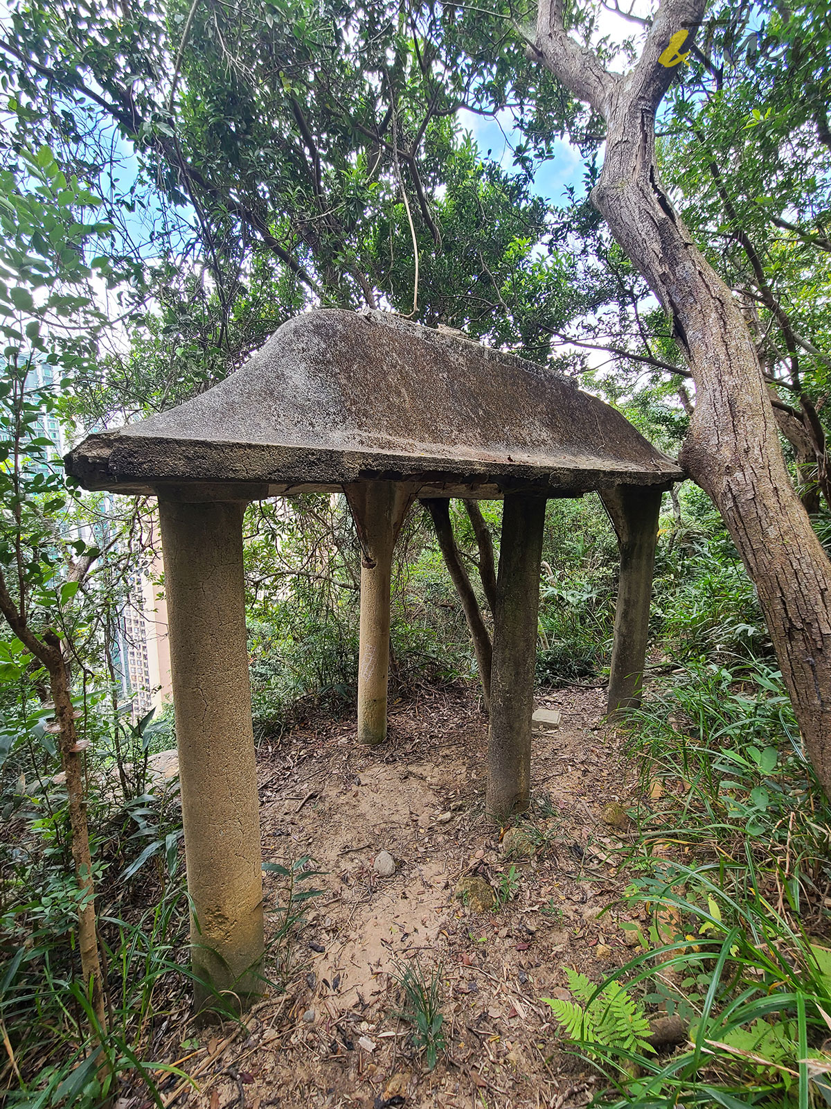 香港秘密搜查官 香港 香港小秘 秘景 大坑 大坑三怪亭 樹林 峭壁 巨大亭身 茅屋屋頂