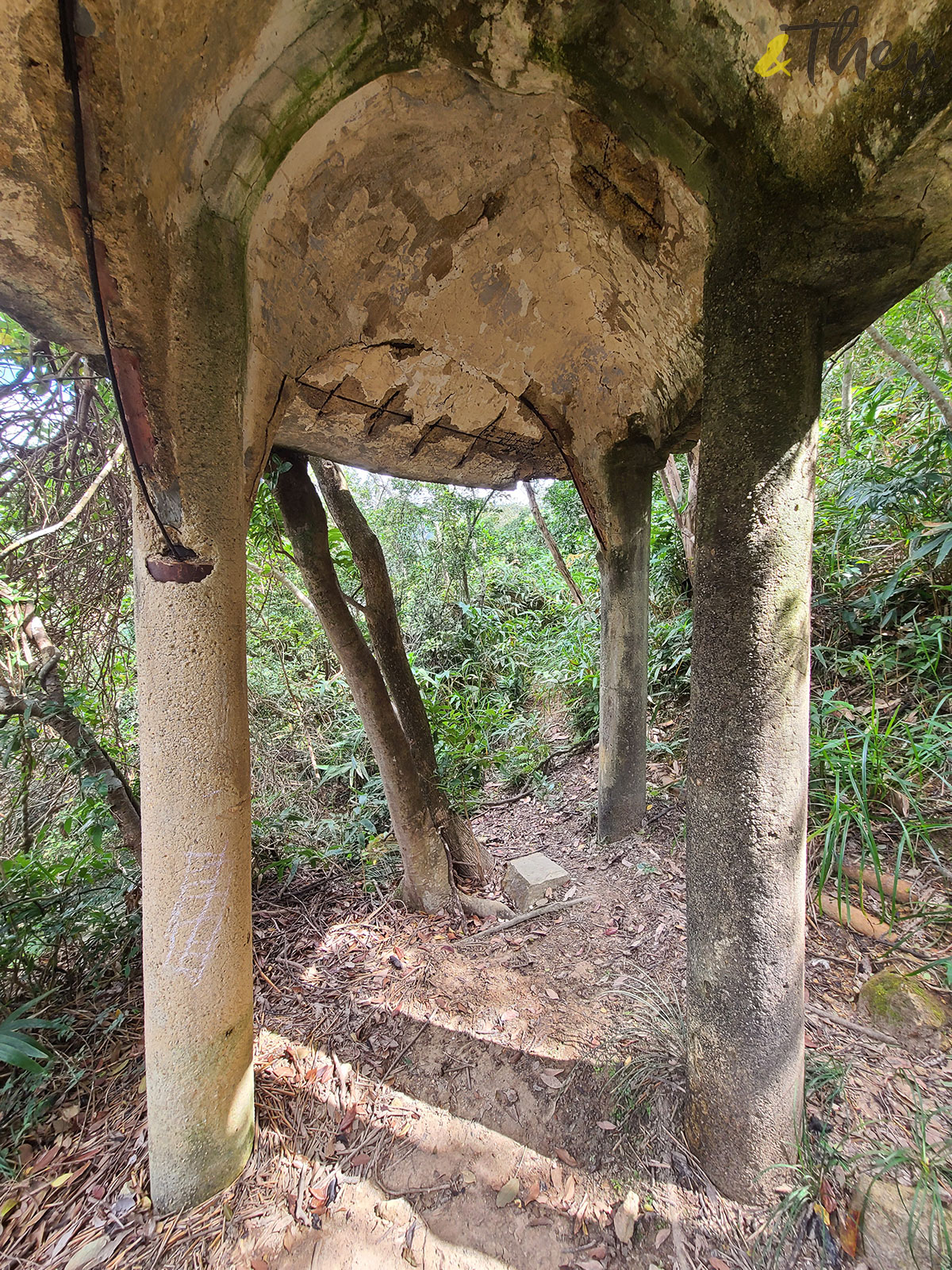 香港秘密搜查官 香港 香港小秘 秘景 大坑 大坑三怪亭 樹林 峭壁 巨大亭身 鋼筋