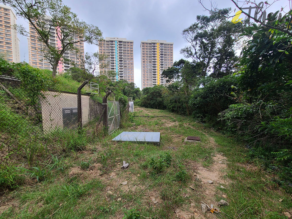 香港秘密搜查官 香港 香港小秘 秘景 大坑 大坑三怪亭 樹林 大坑配水庫 畢拉山道111號 政府高級公務員宿舍