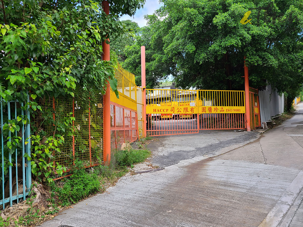 香港秘密搜查官 香港 香港小秘 秘景 洪水橋 丹桂村 元朗寶覺小學 尖塔 西洋古堡 品珍醬園