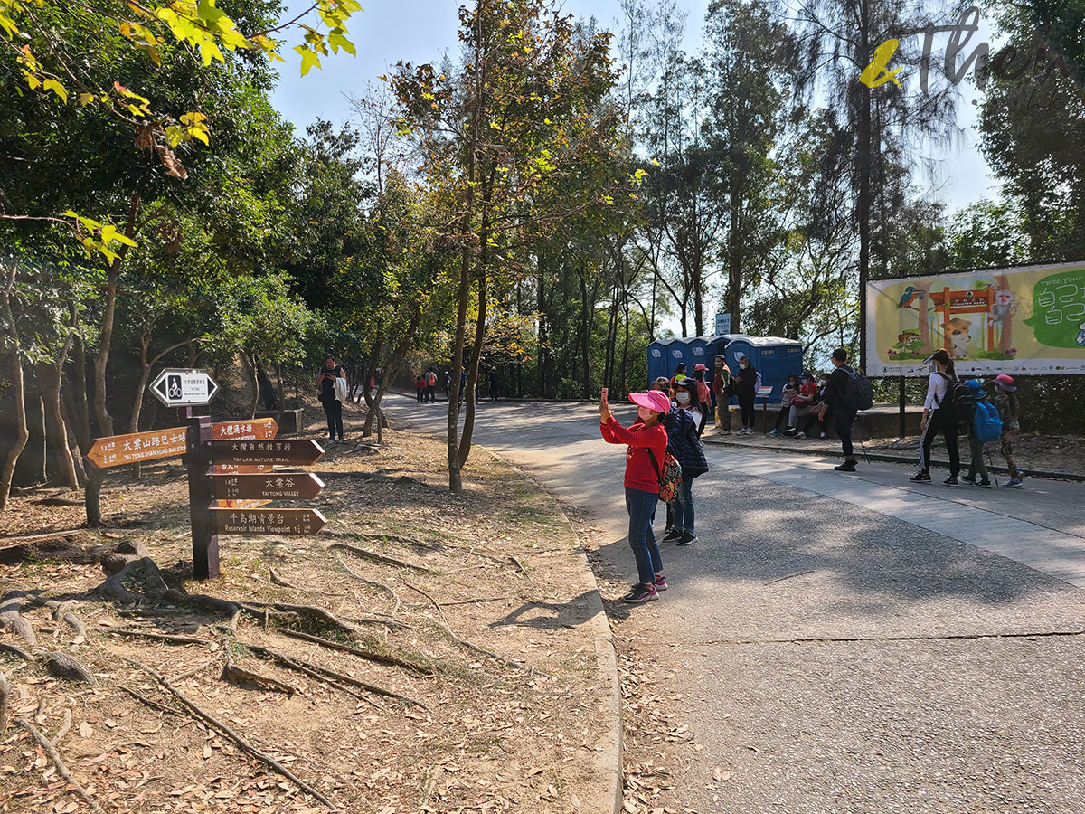 虎年 新年 行山 郊遊 大棠 白虎坳 大欖郊野公園 千島湖 大欖涌水塘 T字路口 千島湖清景台 指示牌