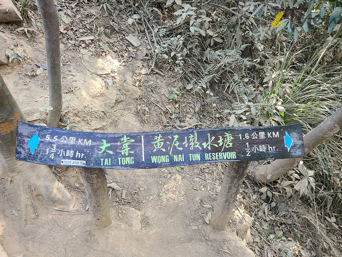 虎年 新年 行山 郊遊 大棠 白虎坳 大欖郊野公園 千島湖 大欖涌水塘 黃泥墩水塘