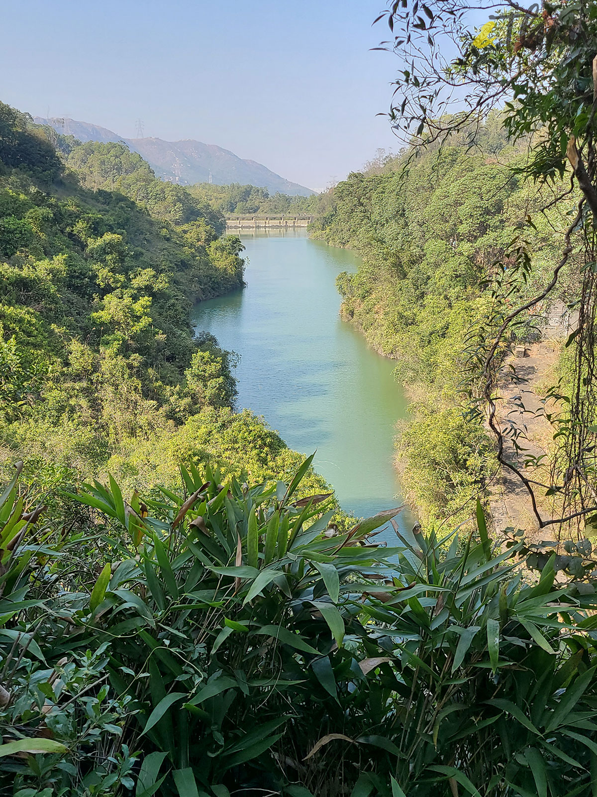 虎年 新年 行山 郊遊 大棠 白虎坳 大欖郊野公園 千島湖 大欖涌水塘 黃泥墩水塘 千島湖清景台 大棠村