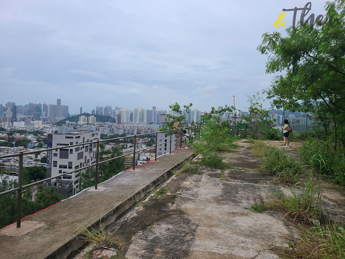 虎年 新年 行山 郊遊 九龍仔公園 樂富 格仔山 樂富山 紅白格 斜坡