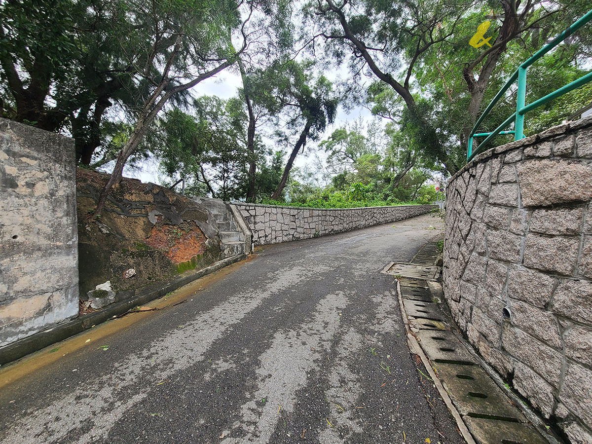 虎年 新年 行山 郊遊 九龍仔公園 樂富 格仔山 樂富山 紅白格 富安街