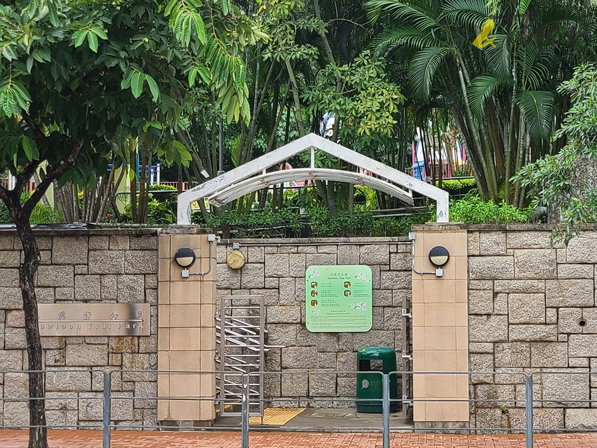 虎年 新年 行山 郊遊 九龍仔公園 樂富 格仔山 樂富山 紅白格 九龍仔公園 延文禮士道