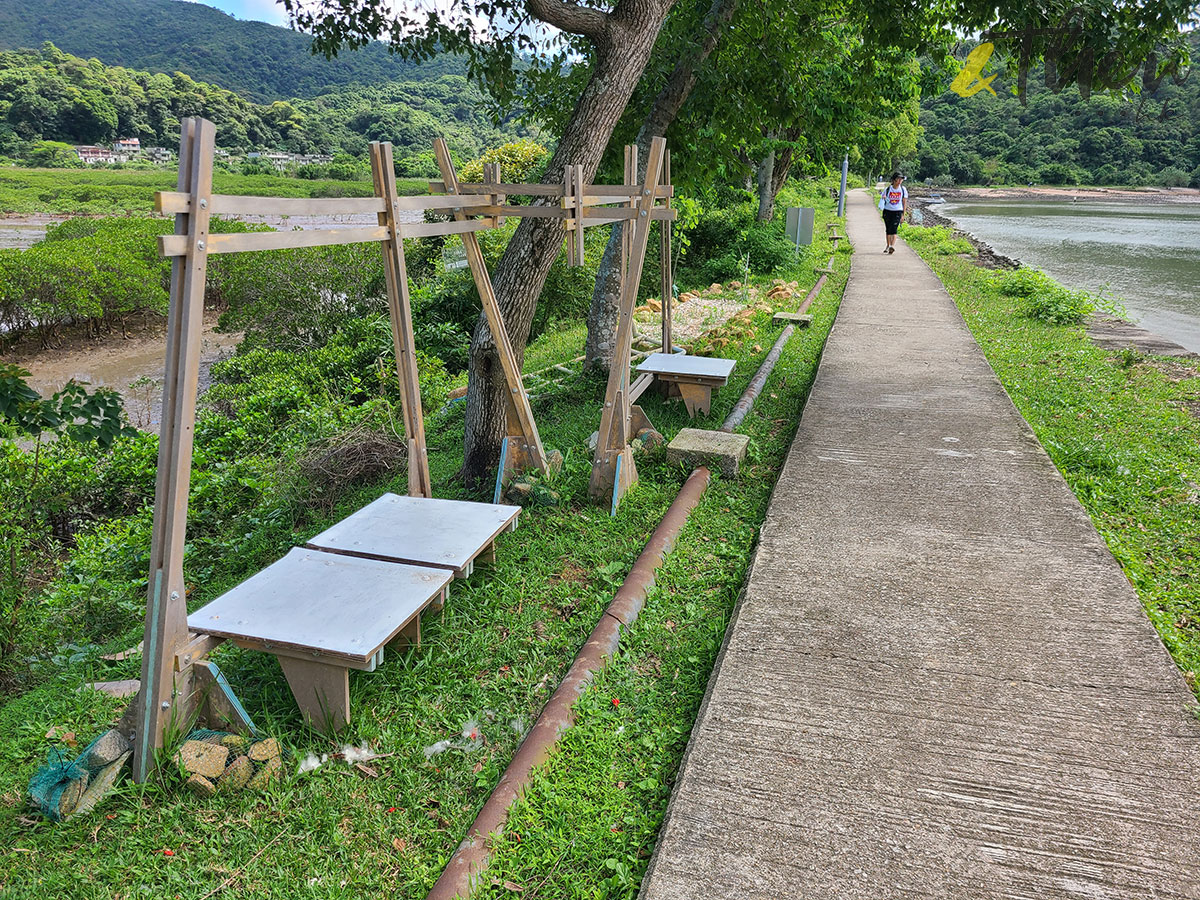 新界 鹿頸 遠足 啟才學校 村校展覽 鄉村 活化保育 泥灘 木造平台 谷埔