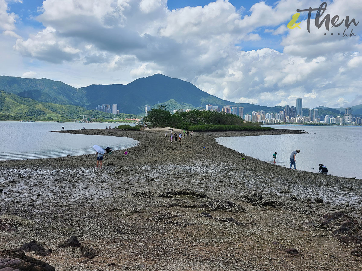 新界 鹿頸 遠足 啟才學校 村校展覽 鄉村 活化保育 連島沙洲 水浸咀排