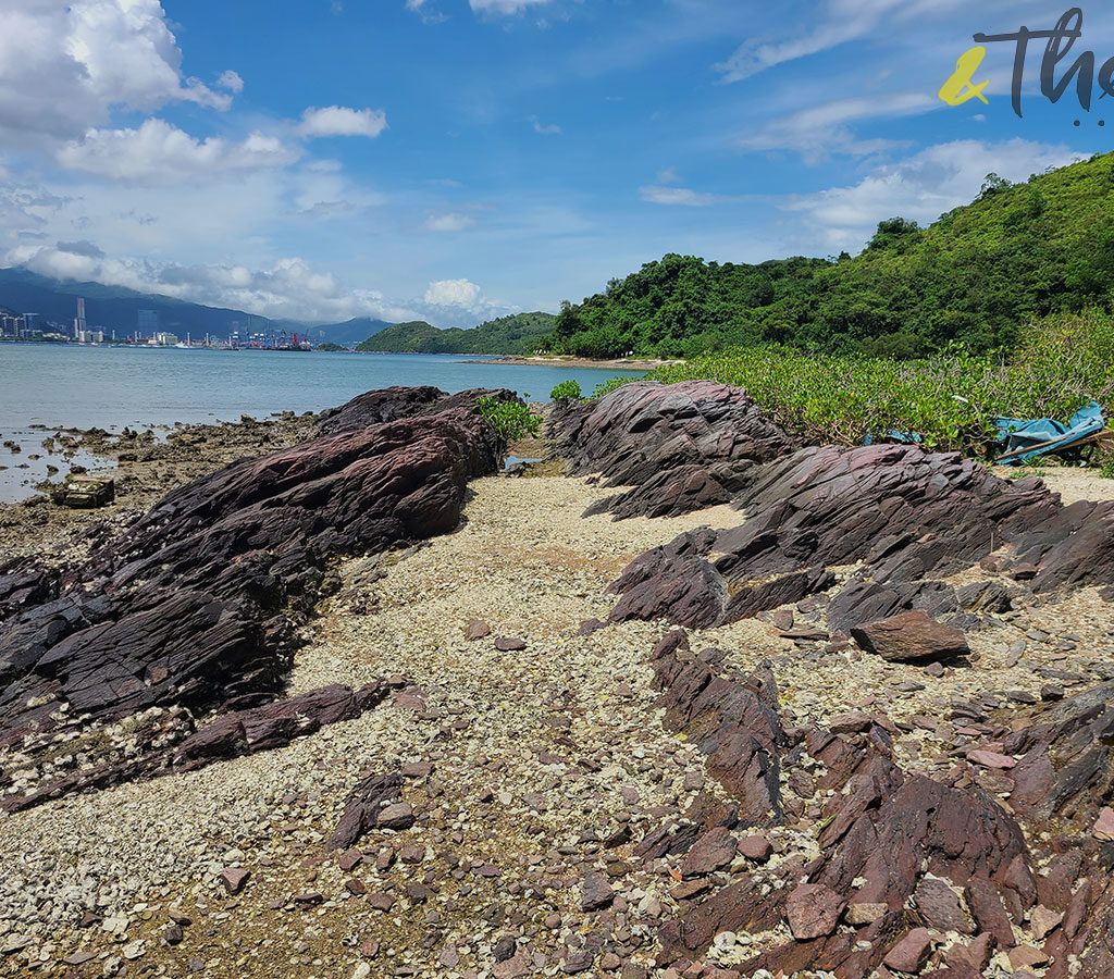 新界 鹿頸 遠足 啟才學校 村校展覽 鄉村 活化保育 連島沙洲 水浸咀排 紅石