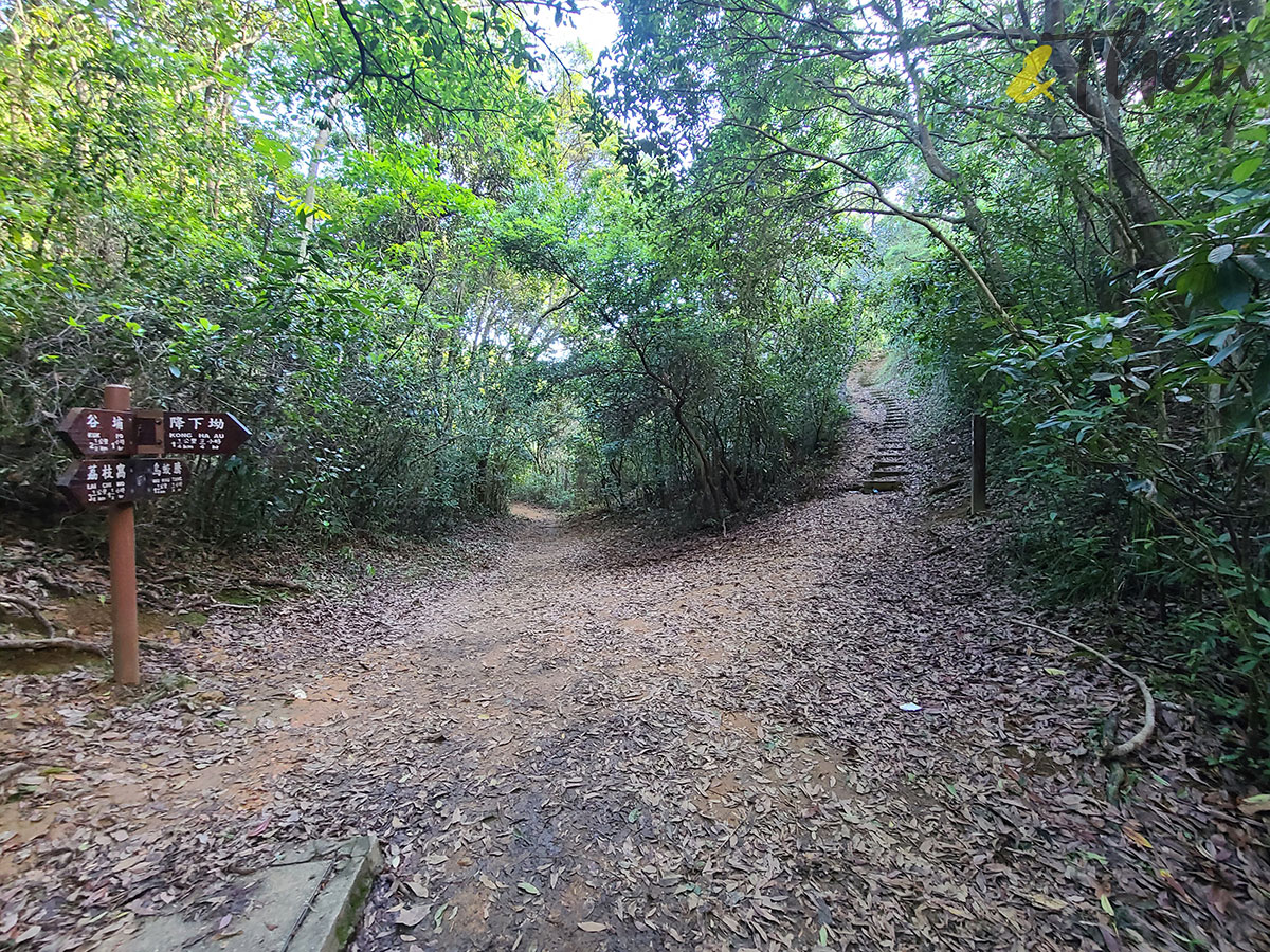 新界 鹿頸 遠足 啟才學校 村校展覽 鄉村 活化保育 谷埔 烏蛟騰 新娘潭路