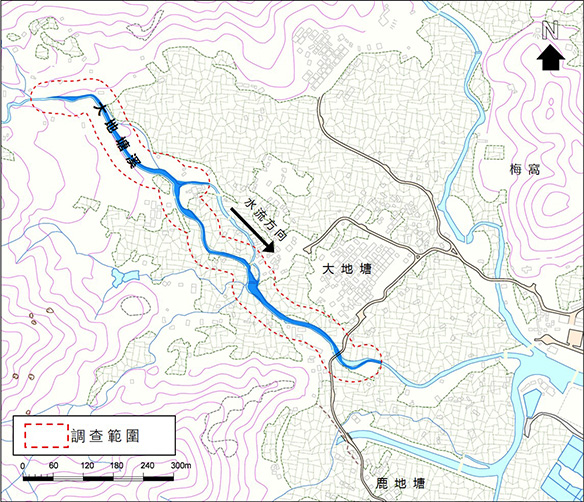 農業復興 復耕 梅窩 農墟 好老土 土地教育基金 大地塘河 鹿地塘河 河流 圖象