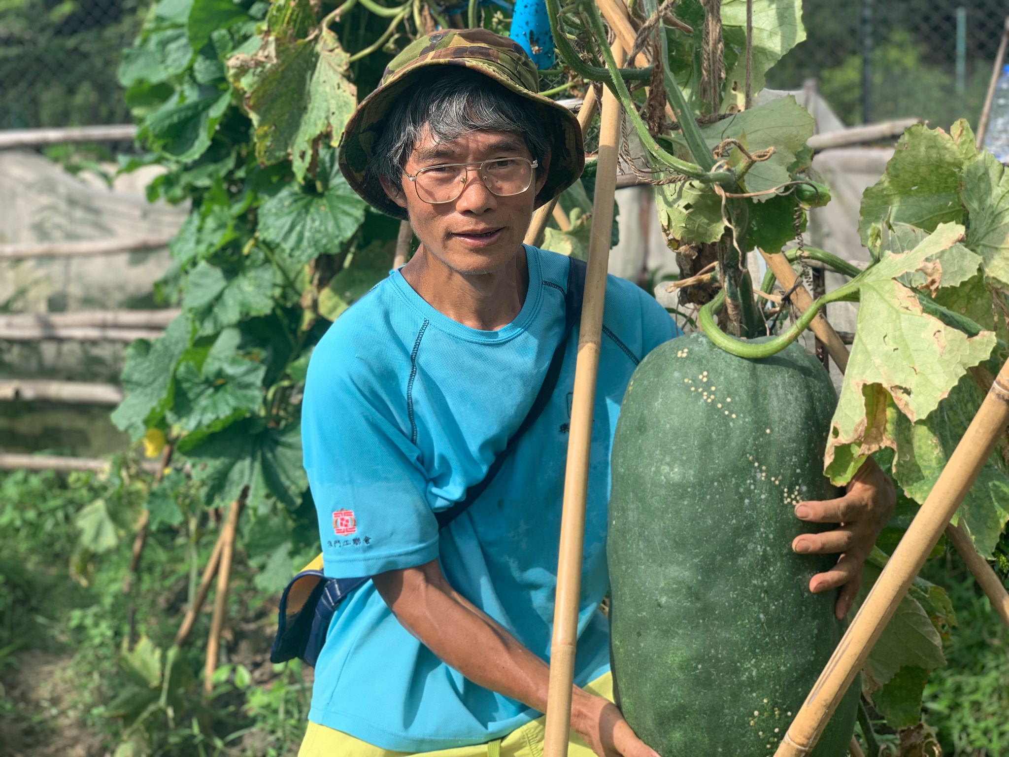 農業復興 復耕 梅窩 農墟 好老土 土地教育基金 強哥 草原農場 種菜 青皮大冬瓜