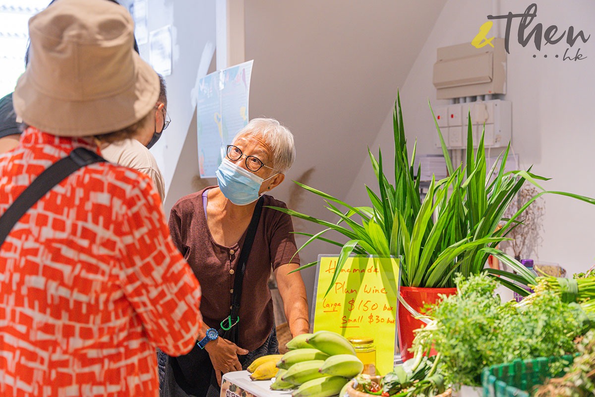 農業復興 復耕 梅窩 農墟 好老土 土地教育基金 菜