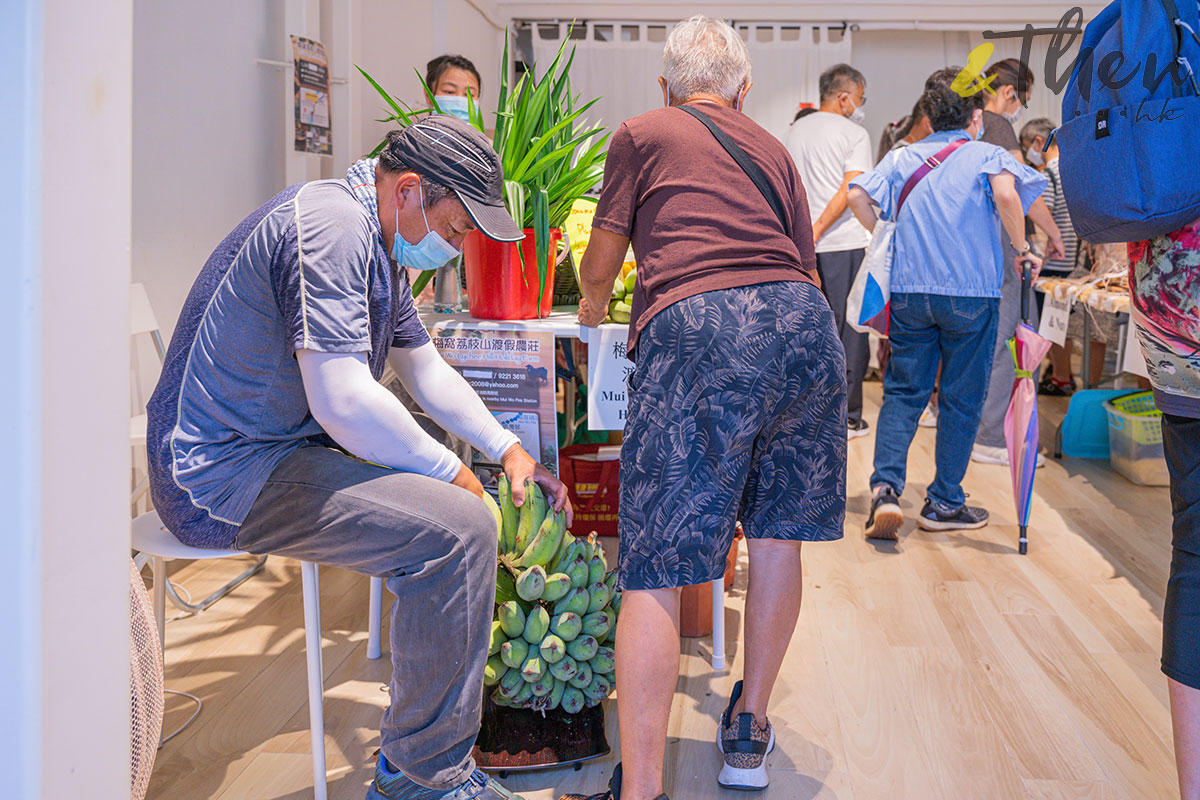 農業復興 復耕 梅窩 農墟 好老土 土地教育基金 梅窩荔枝山渡假山莊 農夫 芭蕉