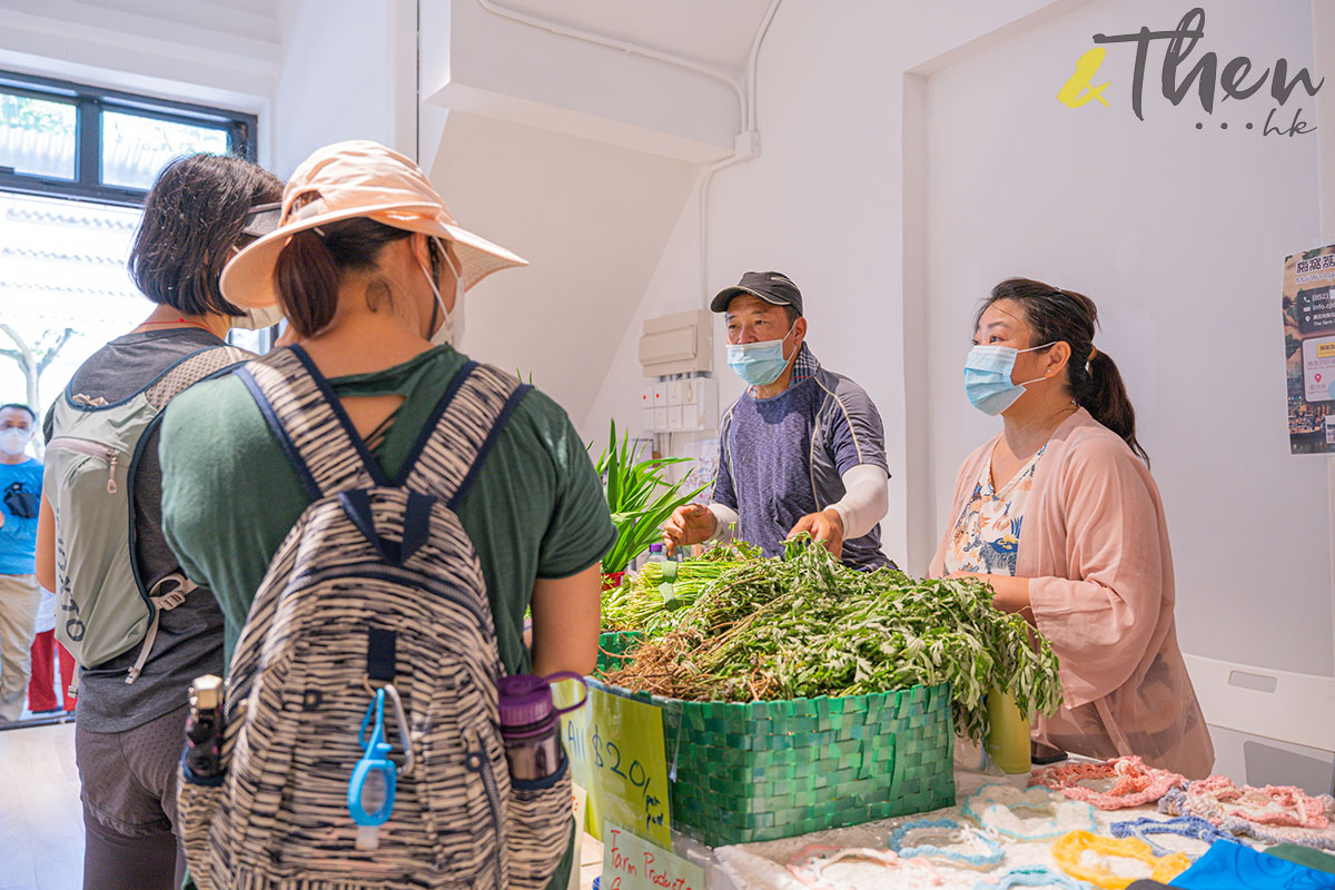 農業復興 復耕 梅窩 農墟 好老土 土地教育基金 農夫 農產 蔬菜