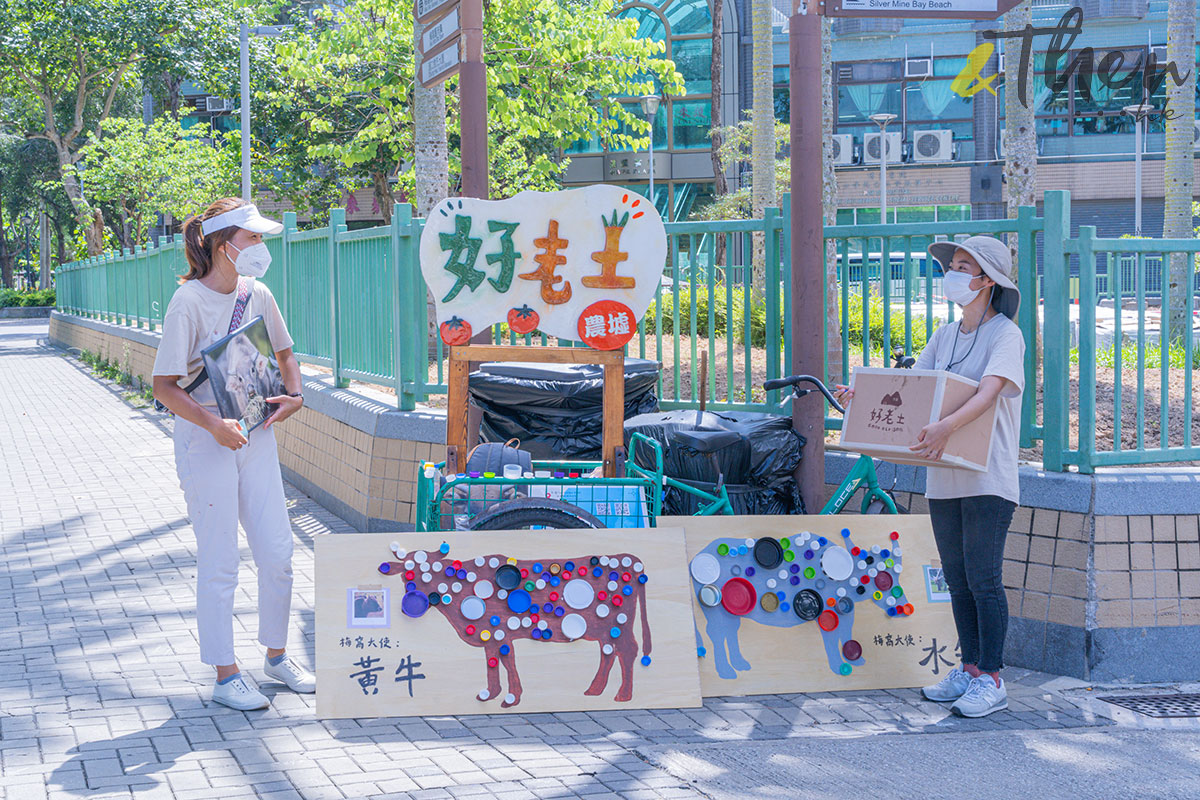 農業復興 復耕 梅窩 農墟 好老土 土地教育基金 學徒 義工