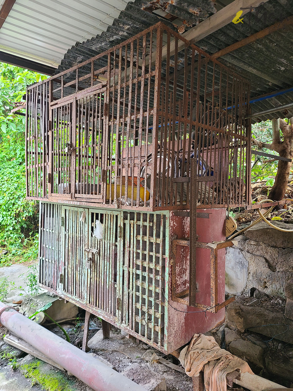 香港地標 郊遊 秘景 緣路山旮旯 港產片 拍攝場景 朝聖 茶果嶺 歷史建築 羅氏大屋 獸籠 村民 荔園馴獸師 蕭國威