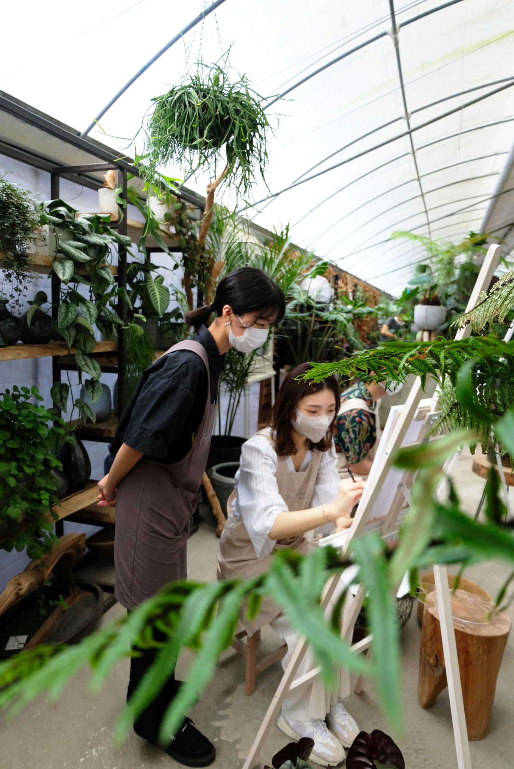 大埔 林村 隱世溫室 Biophilia FLEURS 植物 Art Jamming 室內植物溫室 繪畫 大自然