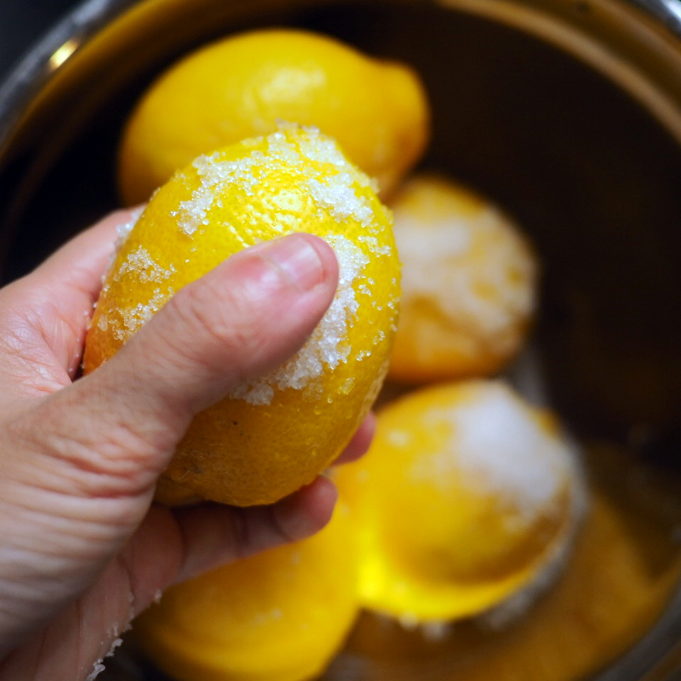 Chobakery 甜品 食譜 水果雪葩 雪葩 冰凍甜品 時令水果 檸檬雪葩 檸檬 粗鹽