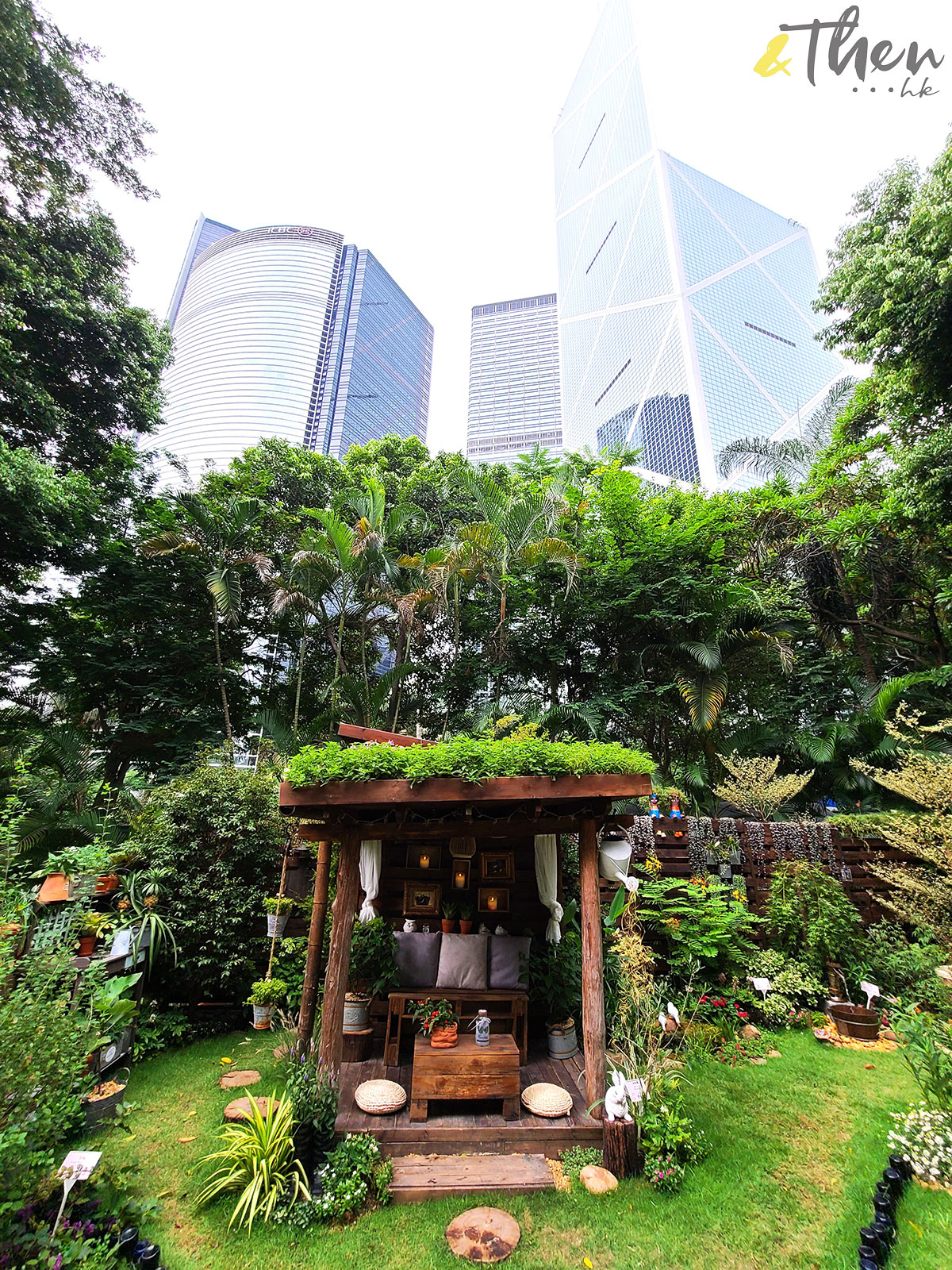 花悅滿城 香港十八區 康文署 園圃 公園 遊樂場 打卡 香港公園 園圃 大廈 淨土