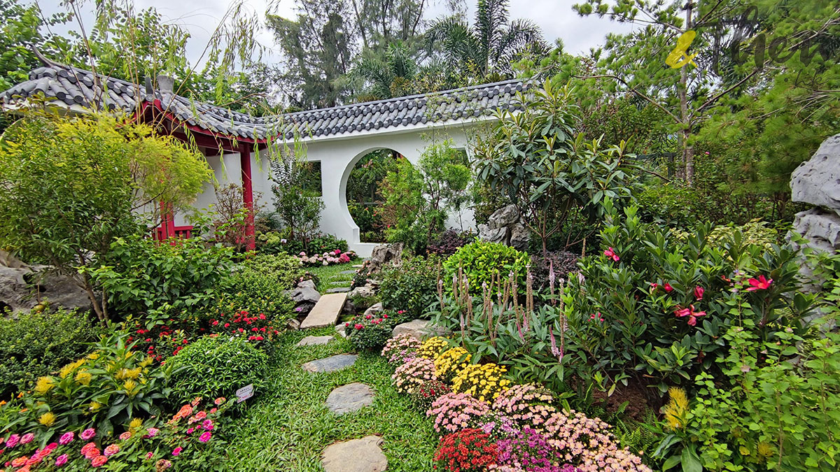 花悅滿城 香港十八區 康文署 園圃 公園 遊樂場 打卡 九龍仔公園 錦簇．共鳴 花草 草地 庭園