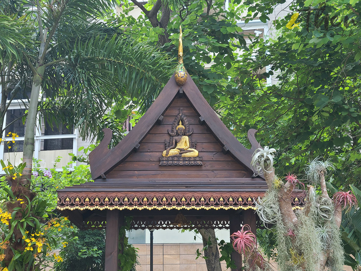 花悅滿城 香港十八區 康文署 園圃 公園 遊樂場 打卡 青衣海濱公園 泰式庭園 泰式涼亭 植物 花卉 度假resort