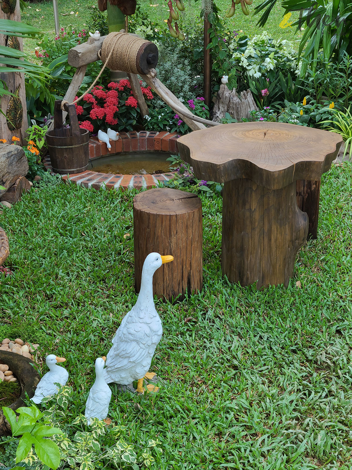 花悅滿城 香港十八區 康文署 園圃 公園 遊樂場 打卡 青衣海濱公園 泰式庭園 泰式涼亭 植物 花卉 度假resort 紅磚 木製裝飾 熱帶植物