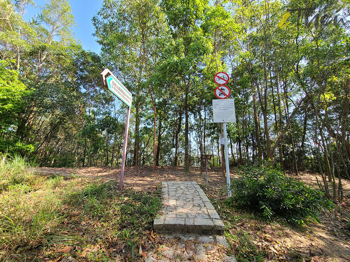 元朗 行山 遠足 簡易路線 鹿頸 谷埔 錦上路 錦田 井坑山 雞公嶺 山景 大欖涌 大欖涌郊遊徑 樓梯