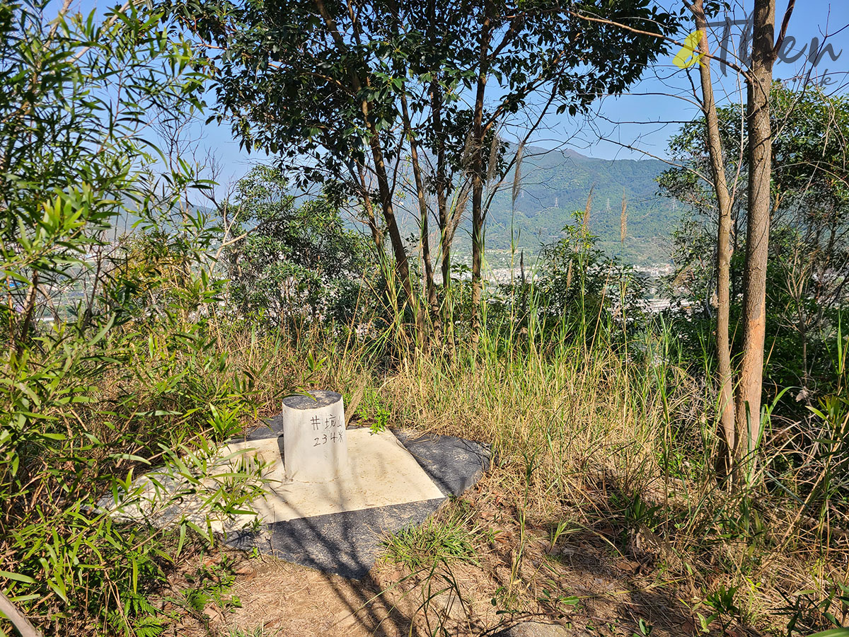 元朗 行山 遠足 簡易路線 鹿頸 谷埔 錦上路 錦田 井坑山 雞公嶺 山景 大欖涌 大欖涌郊遊徑 樓梯 井坑山標高點