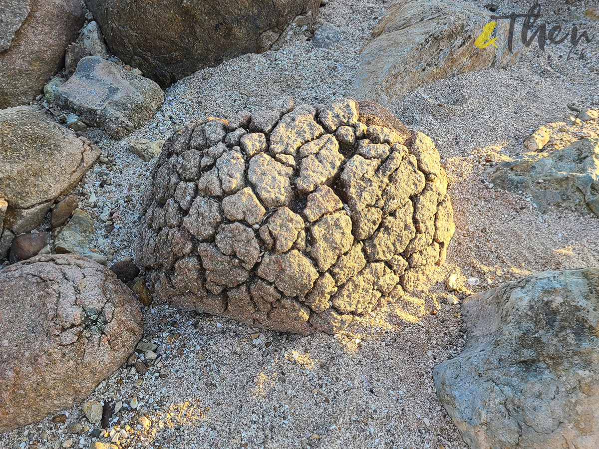 香港遠足挑戰 橋咀 城門 打卡 遠足 行山 橋咀觀景台 享逸台 廈門灣 西貢 郊遊徑 登山 半月灣 天使之路 連島沙洲 橋頭 石英二長岩