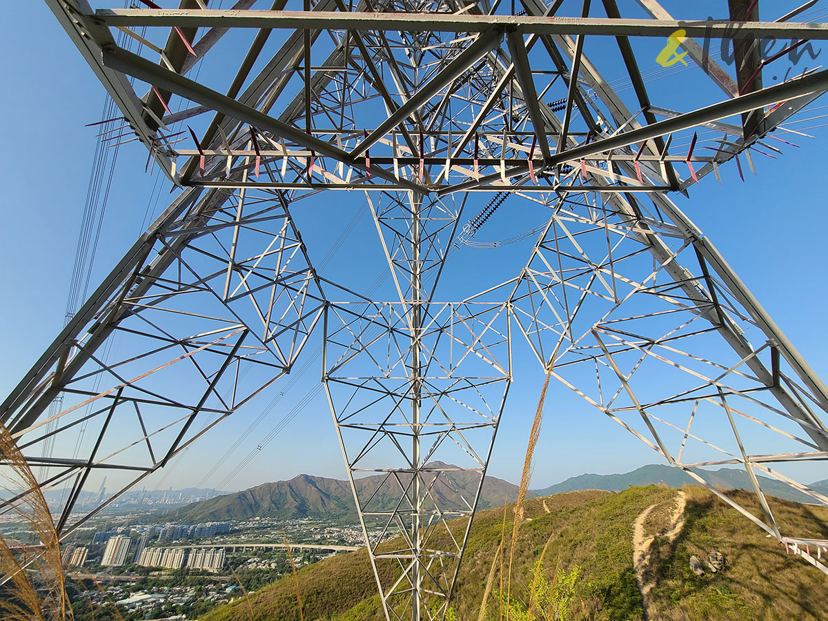 元朗 行山 遠足 簡易路線 鹿頸 谷埔 錦上路 錦田 井坑山 掌牛山 電塔 高地 掌牛山頂