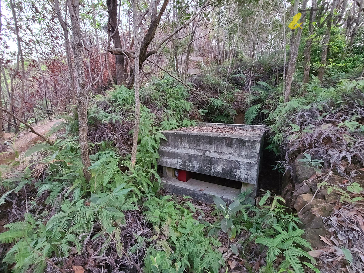 元朗 行山 遠足 簡易路線 鹿頸 谷埔 錦上路 錦田 戰壕 坑道 蠔殼山 歷史建築 英軍偵測陣地 山頂