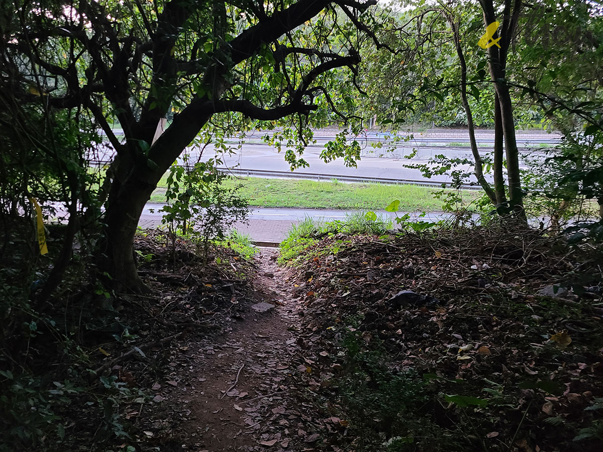 元朗 行山 遠足 簡易路線 鹿頸 谷埔 錦上路 錦田  蠔殼山 青山公路 港鐵元朗站 元朗市區