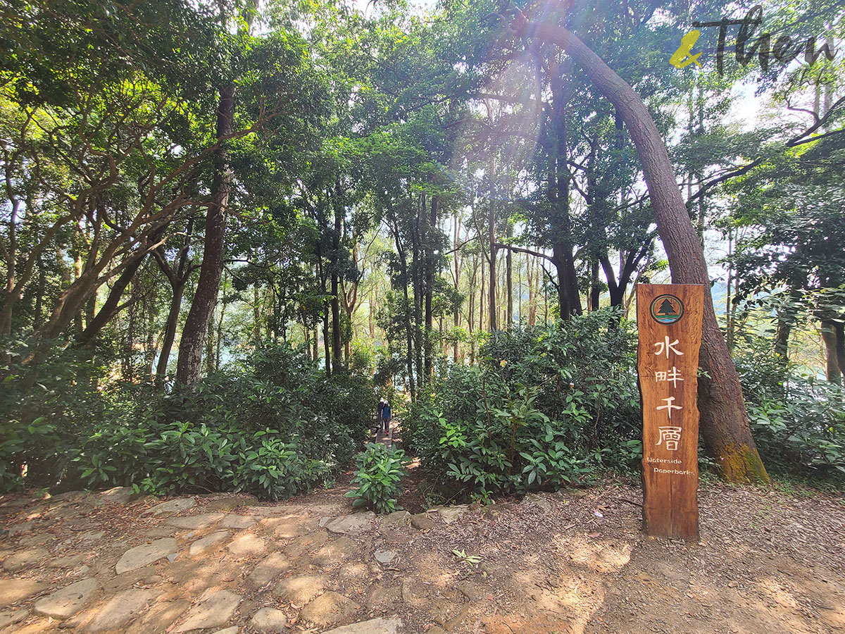 香港遠足挑戰 橋咀 城門 打卡 遠足 行山 橋咀觀景台 享逸台 廈門灣 城門水塘 山林 菠蘿壩 白千層 水畔千層