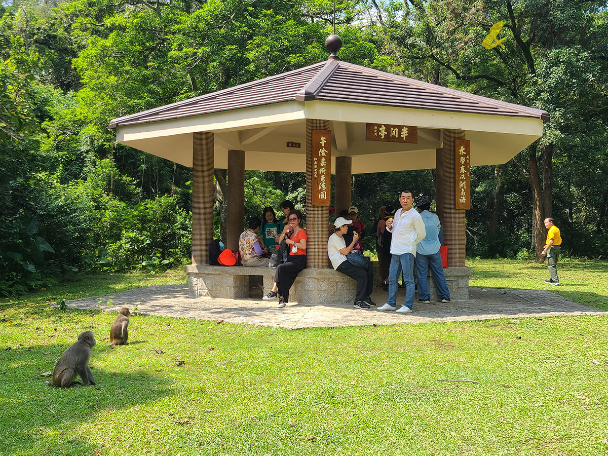 香港遠足挑戰 橋咀 城門 打卡 遠足 行山 橋咀觀景台 享逸台 廈門灣 城門水塘 山林 菠蘿壩 山巒 大城石澗 張屋村 半閒亭 老圍村 舊址