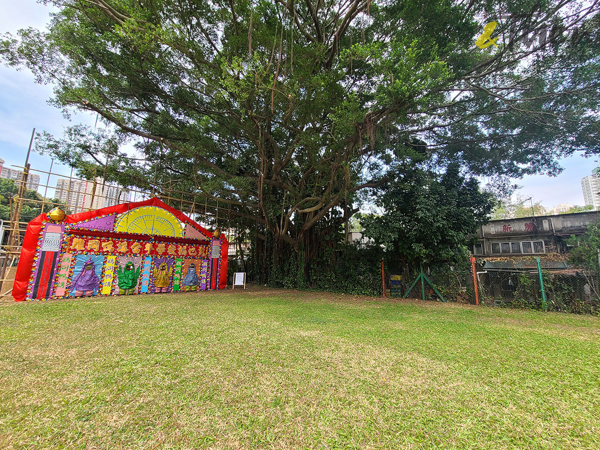 大埔 林村 村校 林錦公路 隱世美景 解憂舊書店 泰國寺 打卡 六鄉新村公立學校 六鄉學習園地 基督教香港信義會 展覽 花牌 草地