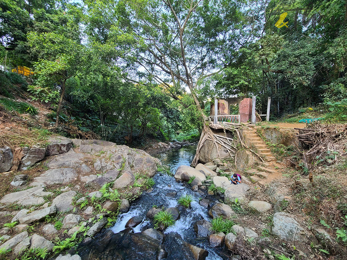 大埔 林村 村校 林錦公路 隱世美景 解憂舊書店 泰國寺 打卡 咩咖探嘩哪啉寺 泰國佛教 荒屋