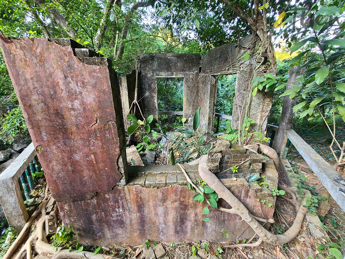 大埔 林村 村校 林錦公路 隱世美景 解憂舊書店 泰國寺 打卡 泰國寺 打卡 咩咖探嘩哪啉寺 泰國佛教 荒屋