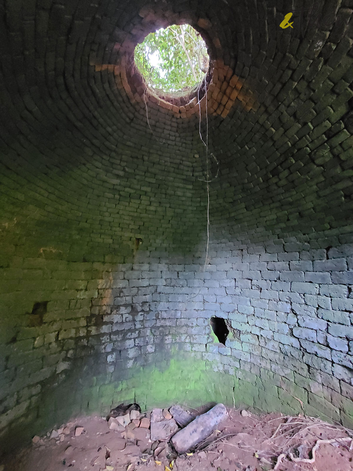 大埔 林村 村校 林錦公路 隱世美景 解憂舊書店 泰國寺 打卡 林村谷 古蹟 大菴古窰 社山神木 古巨樟