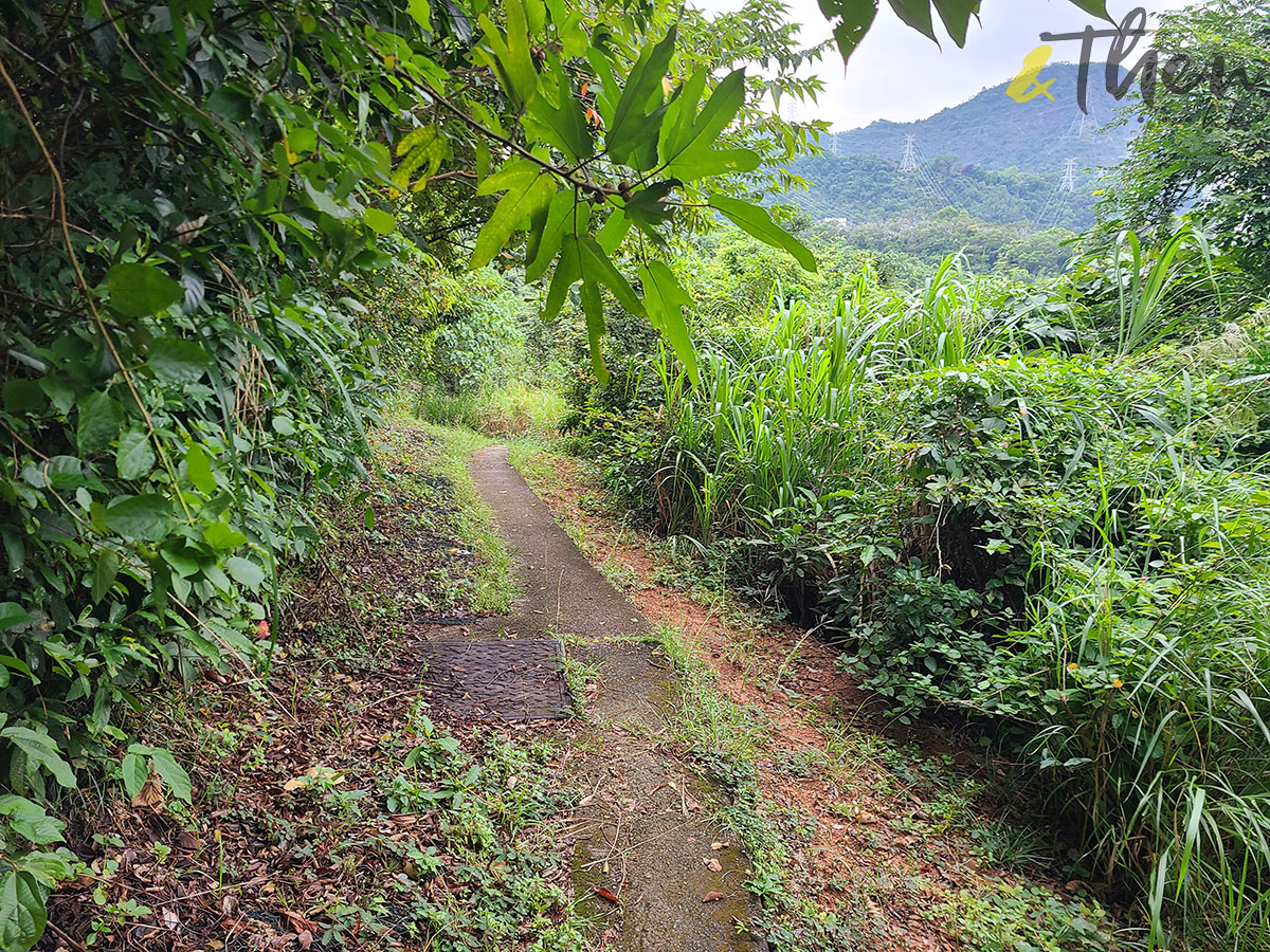 荃灣 石圍角 麥當勞叔叔 荃灣山邨 象山邨 梨木樹邨 香港舊屋邨 城門谷公園 城門道 馬路 荃灣濾水廠 醫療輔助隊荃灣訓練營 小徑 舊建築 金山