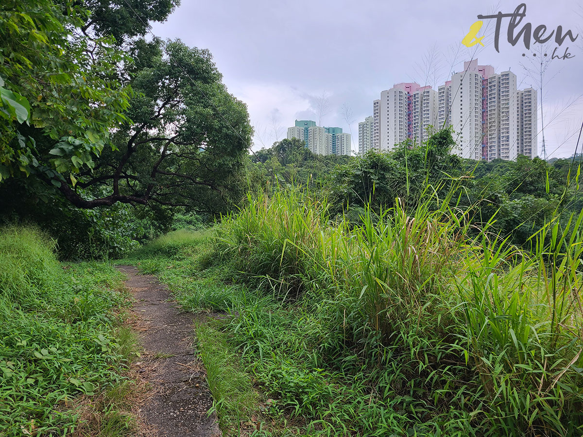 荃灣 石圍角 麥當勞叔叔 荃灣山邨 象山邨 梨木樹邨 香港舊屋邨 城門谷公園 城門道 馬路 荃灣濾水廠 醫療輔助隊荃灣訓練營 小徑 舊建築 金山