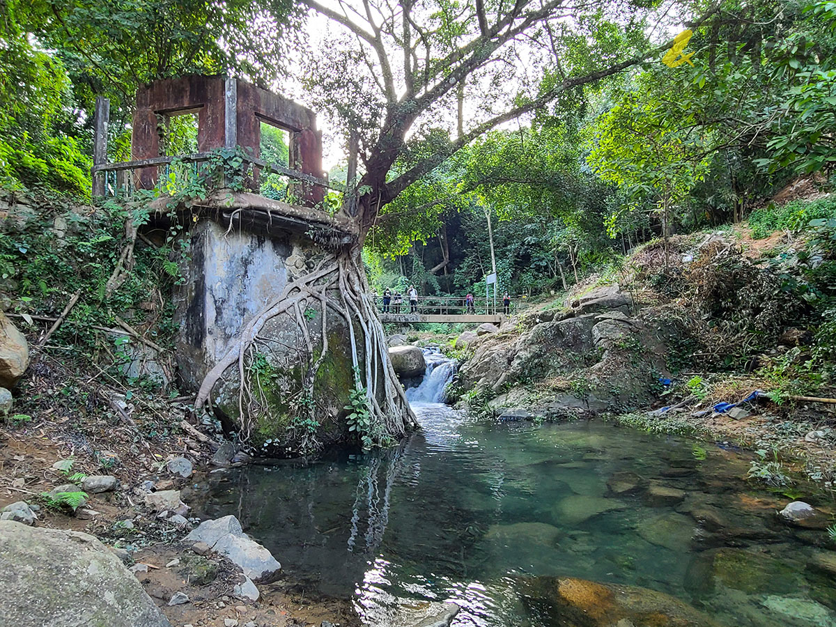 大埔 林村 村校 林錦公路 隱世美景 解憂舊書店 泰國寺 打卡 太和 泰國寺 世外桃源 樹屋