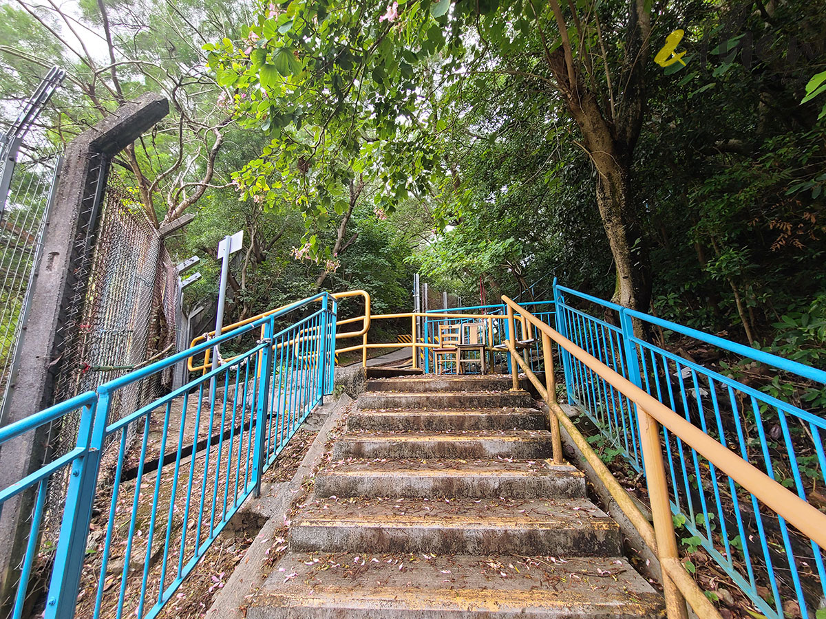 荃灣 石圍角 麥當勞叔叔 荃灣山邨 象山邨 梨木樹邨 香港舊屋邨 印度橡樹 樓梯  柏油路 配水庫大門