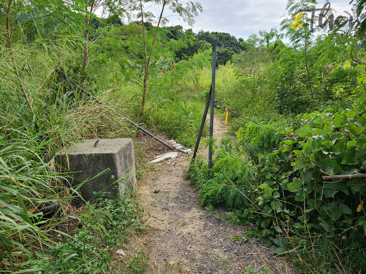 行山 打卡勝地 香港本地遊 登山 山友 粉嶺八角塔 赤柱古道 蝌蚪坪 丹竹坑 丹山河 沙頭角公路 村徑 榮豐花園